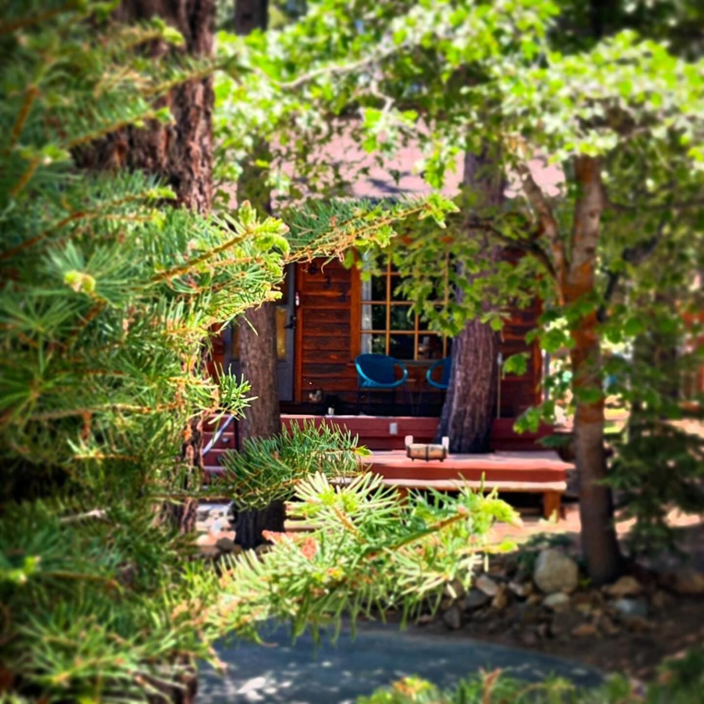 The Nest On Towne Trail - Hot Tub, Bbq, Fire Pit Villa Big Bear Lake Exterior photo